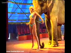 Posing with a large elephant, a flawless blonde beauty wearing a little belt bikini